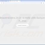 Site Web utilisé pour promouvoir le pirate de navigateur EasySearch 1