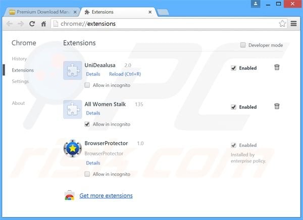 Suppression des publicités Premium Download Manager dans Google Chrome étape 2