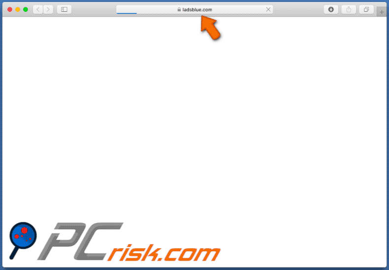 ladsblue[.]com website appearance on Mac (GIF)