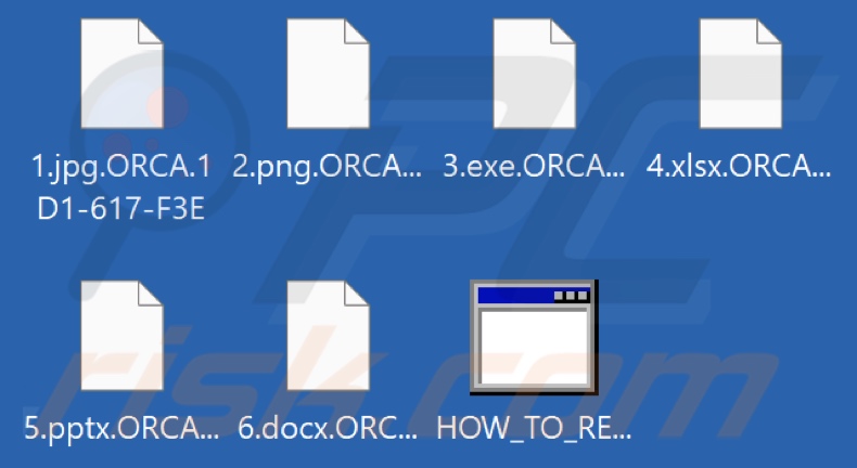 Fichiers cryptés par le ransomware ORCA (extension .ORCA.victim's_ID)