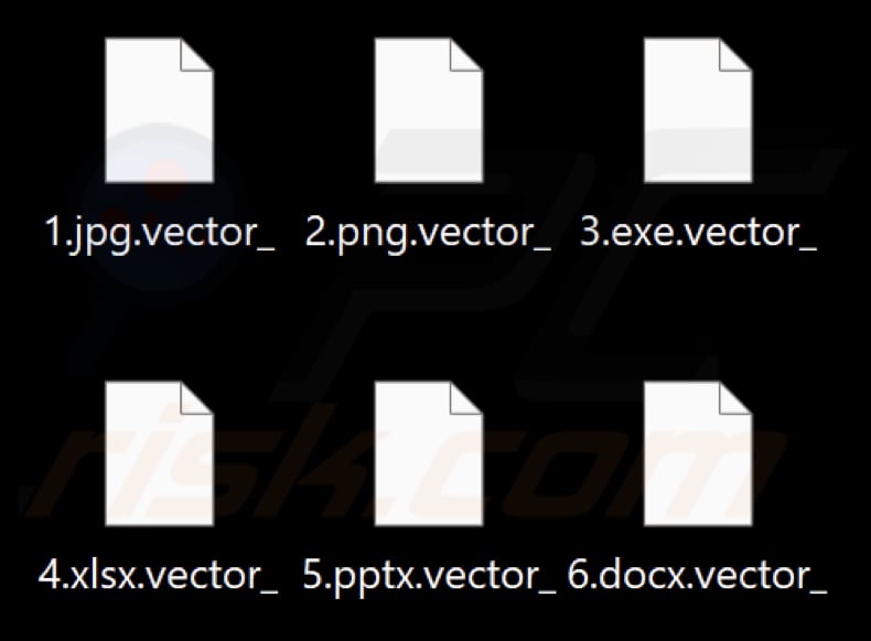 Fichiers cryptés par le ransomware Kadavro Vector (extension .vector_)