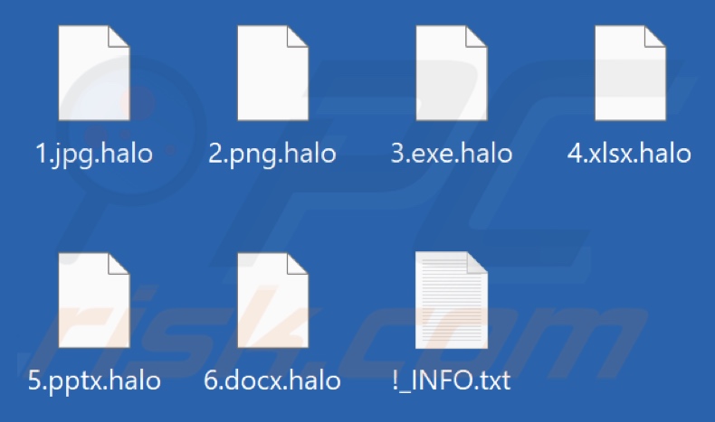 Fichiers cryptés par le ransomware Halo (extension .halo)
