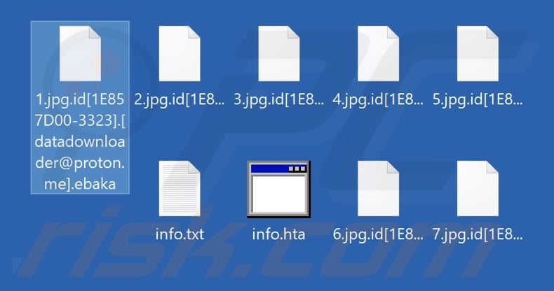 Fichiers cryptés par le rançongiciel Ebaka (extension .ebaka)