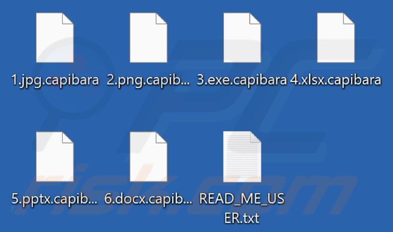 Fichiers cryptés par le ransomware Capibara (extension .capibara)