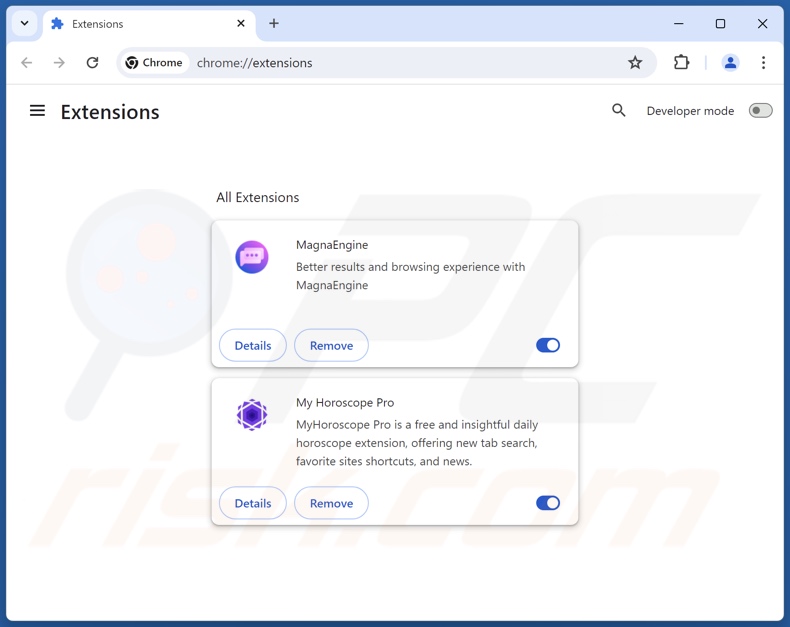 Suppression des extensions malveillantes dans Google Chrome 2