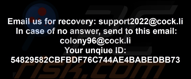 Colony ransomware papier peint