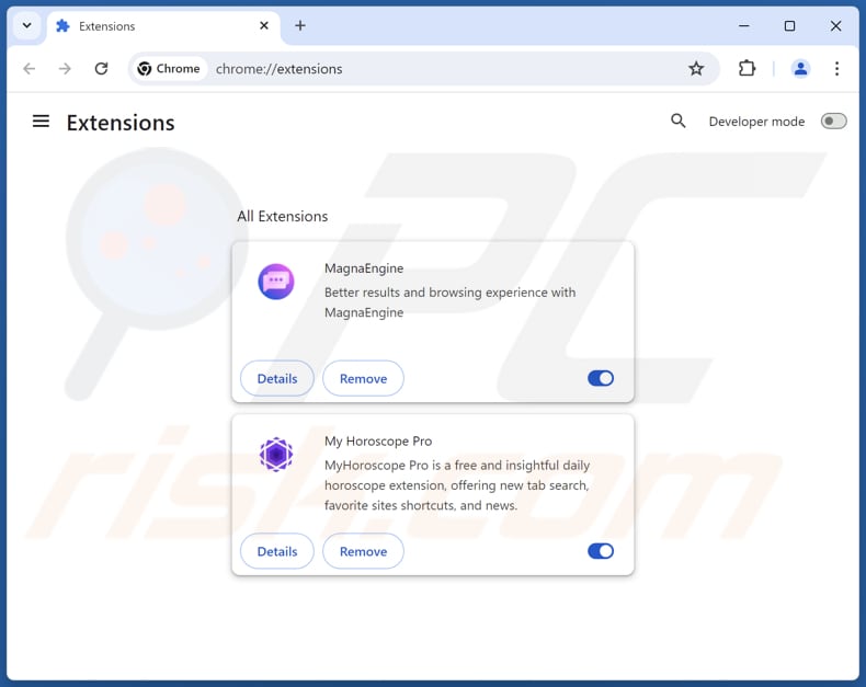 Suppression des extensions malveillantes dans Google Chrome 2