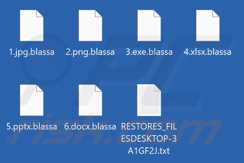 Fichiers cryptés par le ransomware BLASSA (extension .blassa)