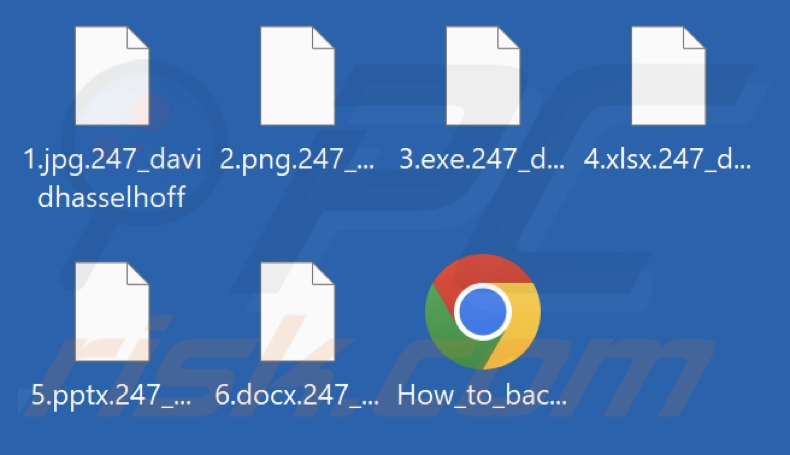Fichiers cryptés par le ransomware DavidHasselhoff (extension .247_davidhasselhoff)