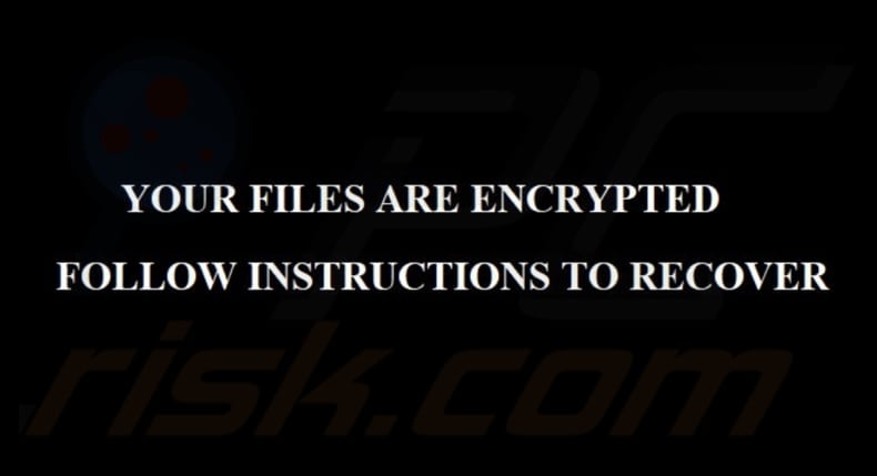 PlayBoy LOCKER ransomware papier peint