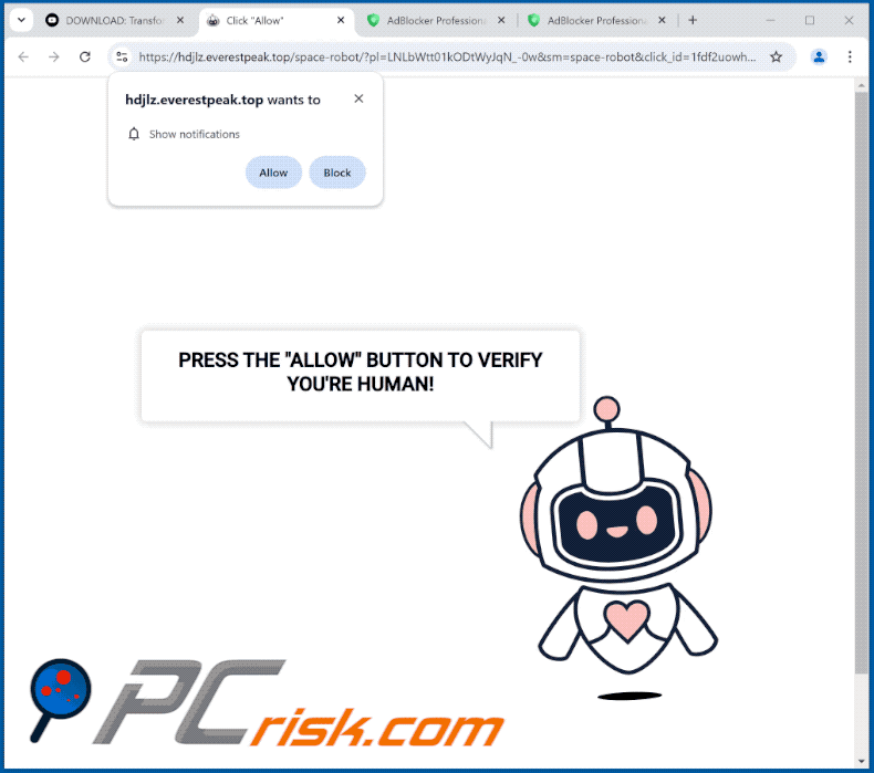 everestpeak[.]top website apparence (GIF)