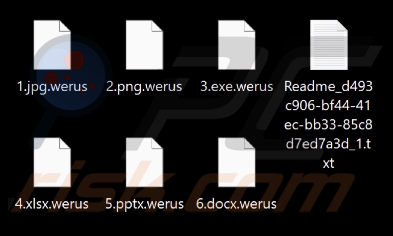 Fichiers cryptés par le ransomware WeRus (extension .werus)