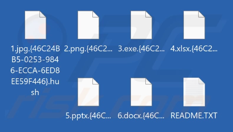 Fichiers cryptés par le ransomware Hush (extension .hush)