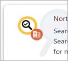 Fausse extension Norton Safe Search Enhanced
