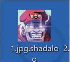 Rançongiciel Shadaloo