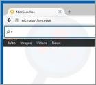 Redirection vers Nicesearches.com