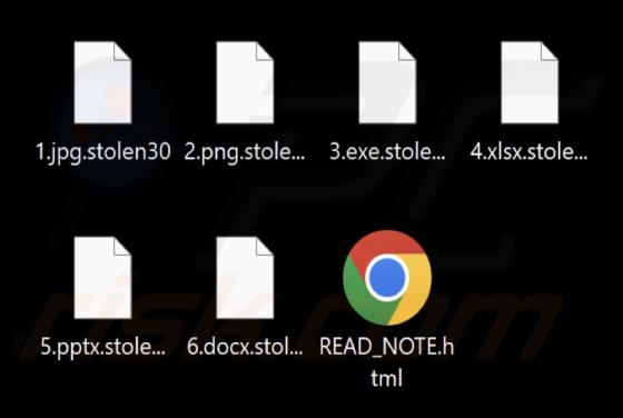 Rançongiciel Stolen (MedusaLocker)