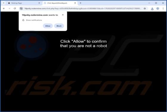 Publicités nolermine.com