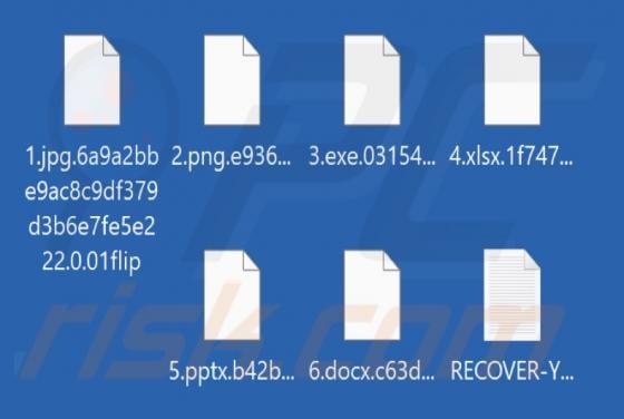 Rançongiciel 01Flip