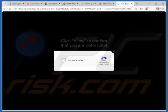 Publicités giumbletepe.co.in