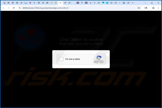 Publicités metachainedge.com