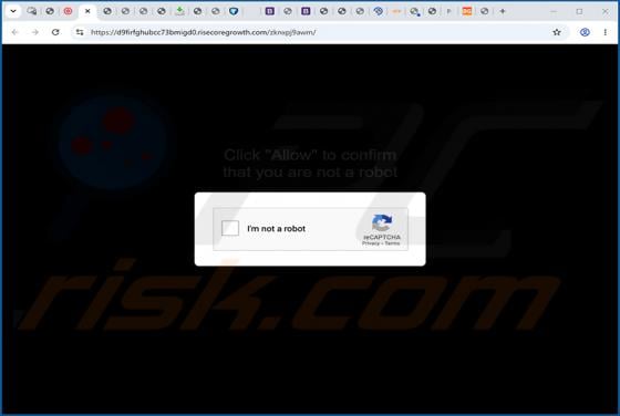 Publicités Risecoregrowth.com