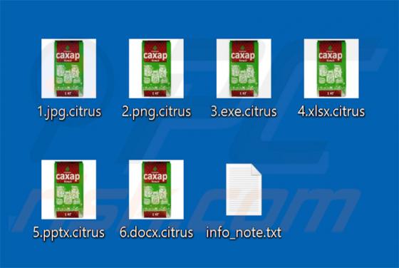 Citrus Ransomware